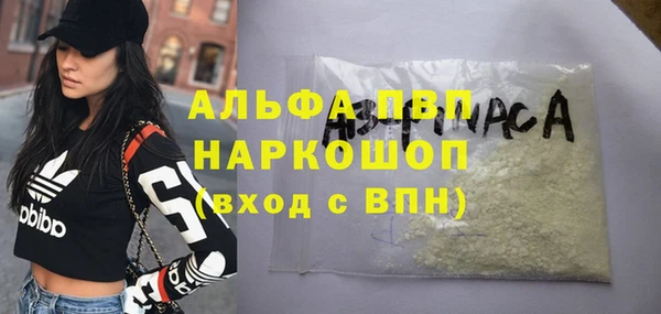 гидра Алзамай