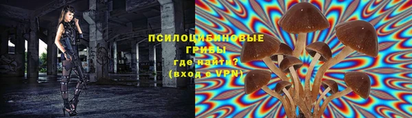 скорость Дмитров