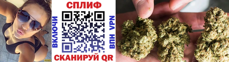 Бошки Шишки тримм Ясный
